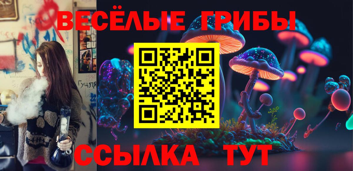 Псилоцибиновые грибы Psilocybe  купить наркотики цена  Псилоцибиновые грибы мицелий  Джанкой  Вход с VPN 